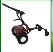 Sunrisegolfcarts.com offers affordable remote control golf cart 